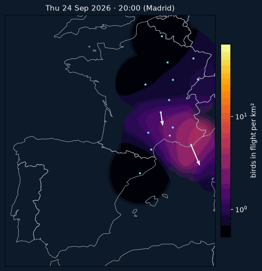 Animation of bird density and flight directions over Iberia and France on the night of 24 to 25 September 2026